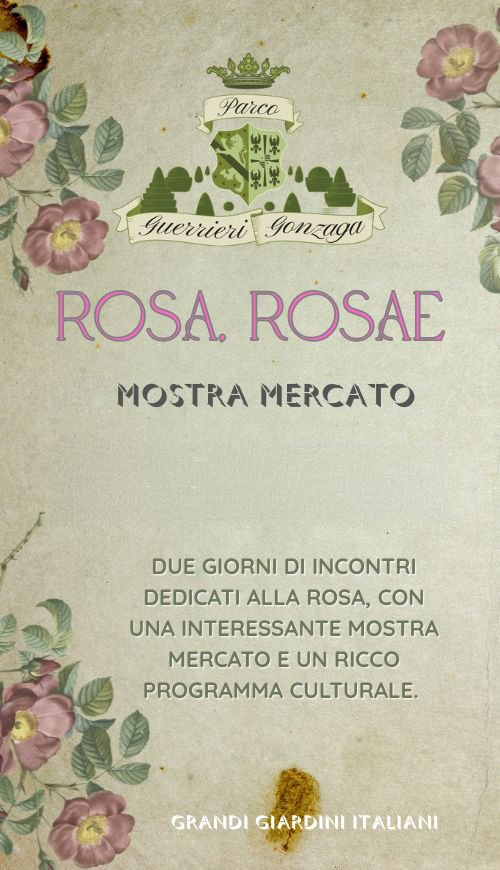 Rosa-Rosae-Pop-Up-500-x-870-px